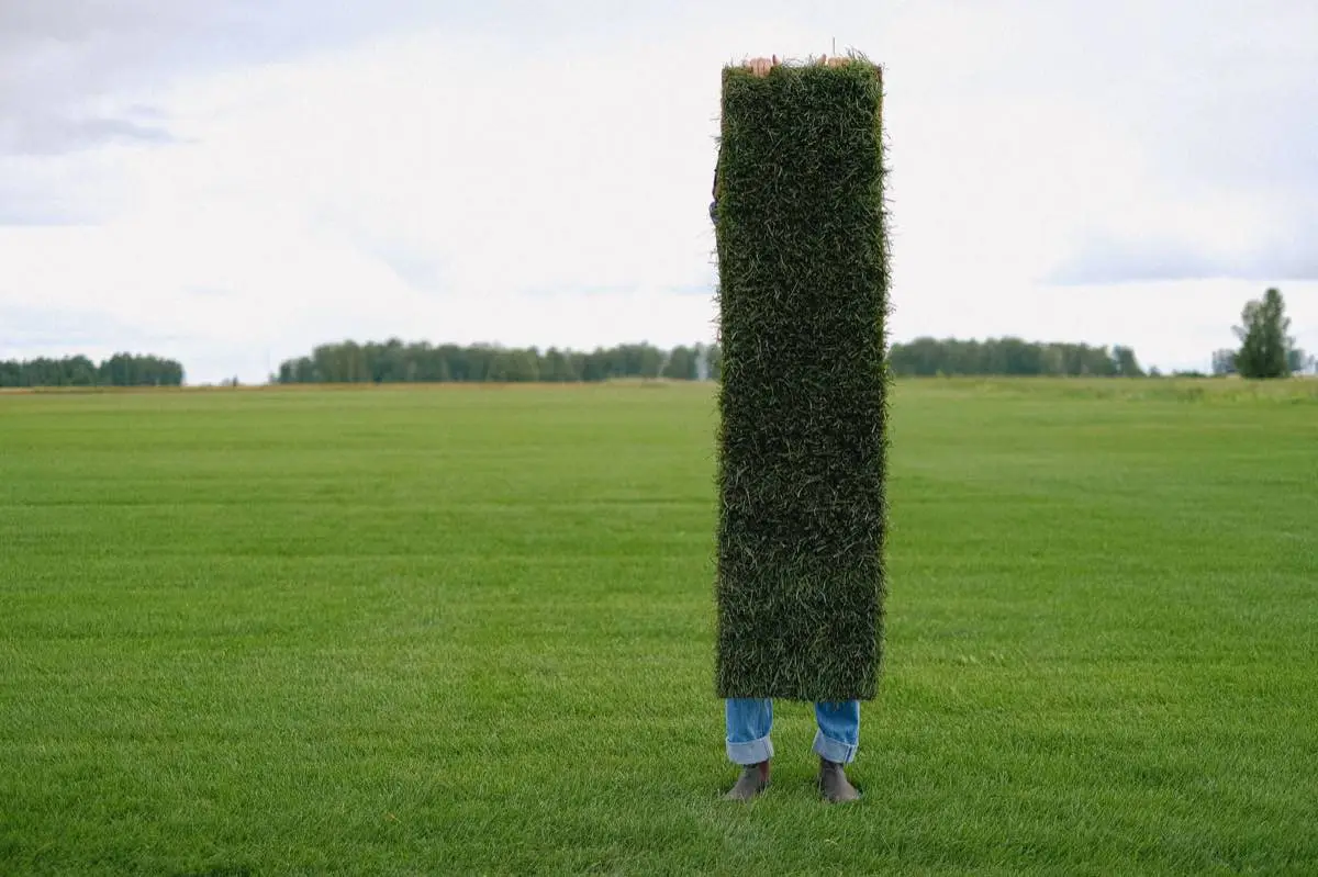 sod installation project in Lubbock, TX — 3